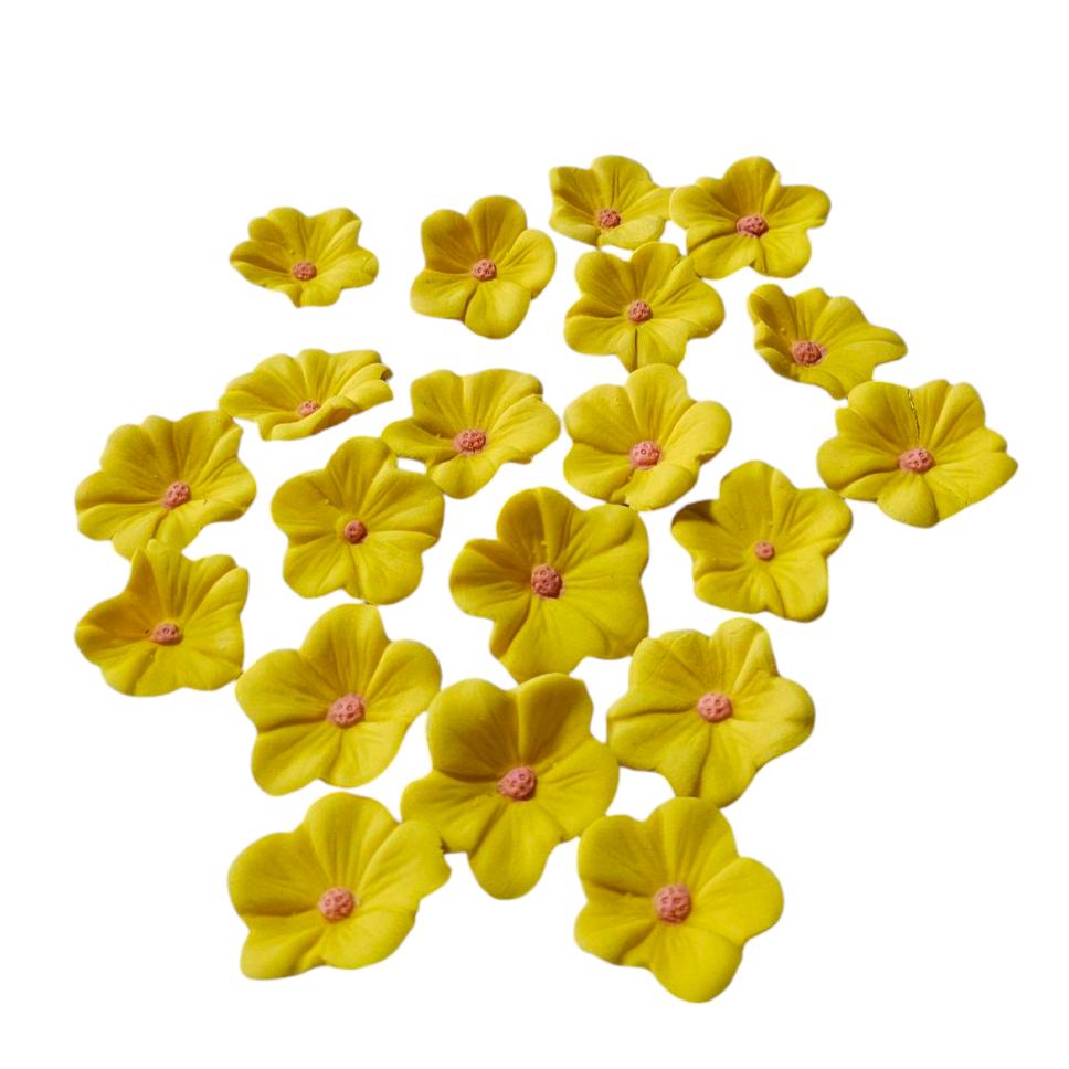 Set 20 floricele galbene